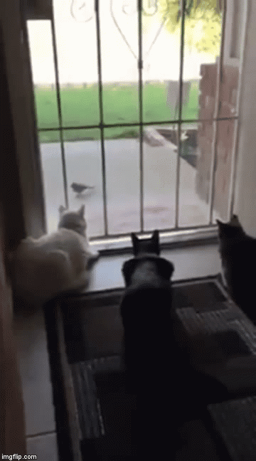 Https Encrypted Tbn0 Gstatic Com Images Q Tbn 3aand9gctyiaoitx0 Clx4lm8srs4onmarlv0n Cnmmilr3vd R0bfiom