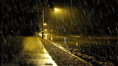Rainy GIF - Find on GIFER