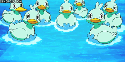 Ducky duck GIF - Download & Share on PHONEKY