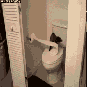 Risultato immagini per toilet paper fail gif