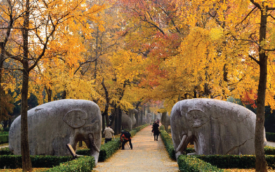 Barrel GIF Find on GIFER