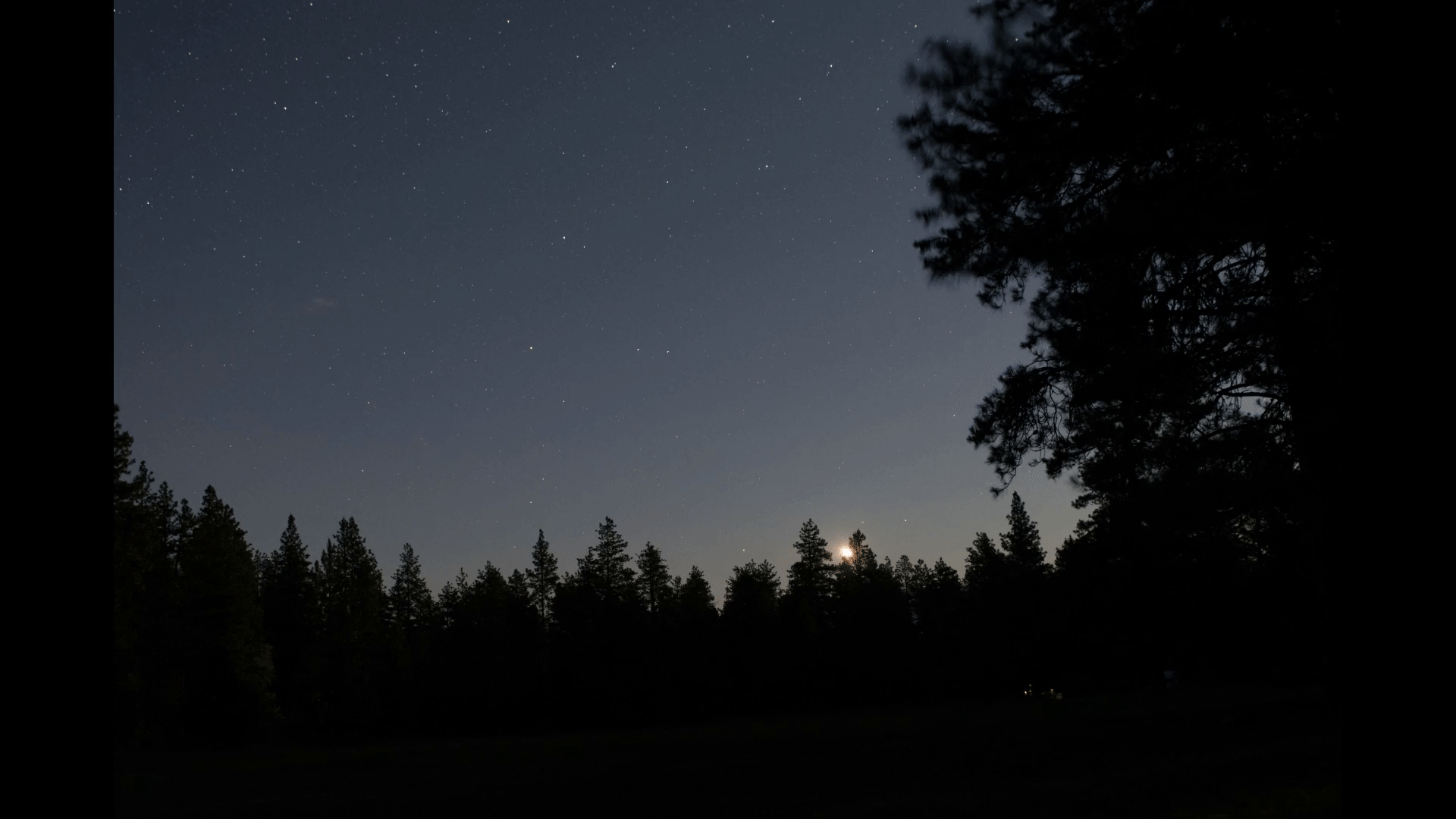 Темно насколько. Ночное небо. Ночной лес. Природа ночью. Звездное небо в лесу.