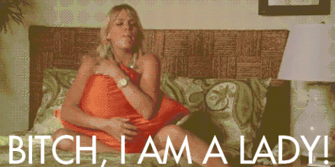 On this animated GIF: cougar town Dimensions: 480x240 px Download GIF or sh...