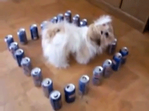 Trapped GIF - Find on GIFER