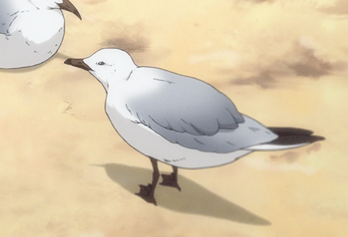 Seagull | Anime-Planet
