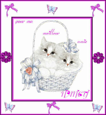 Nina cat, nina , cat , funny - Free animated GIF - PicMix