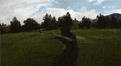 The wind rises GIF - Find on GIFER