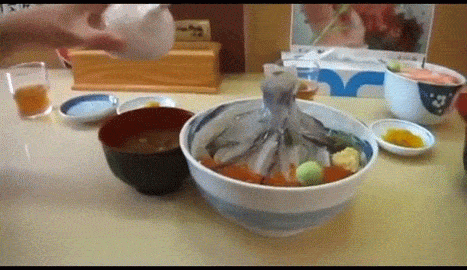 GIF cuttlefish dead sauce - animated GIF on GIFER