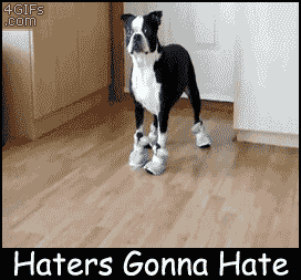 haters gonna hate dog gif