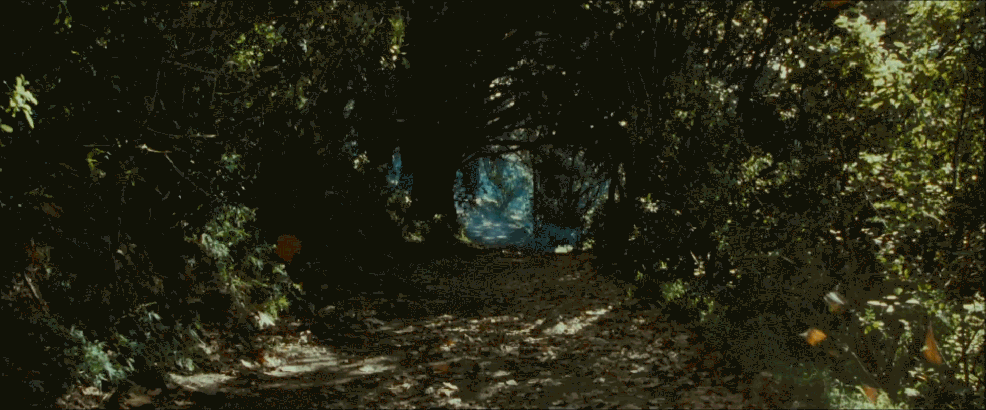 Fellowship Of The Ring GIF Find On GIFER