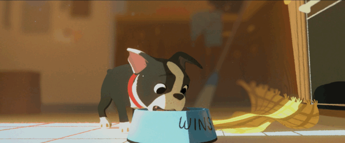 Boston terrier dog food GIF - Find on GIFER