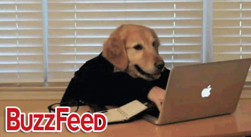 J8Mr.gif