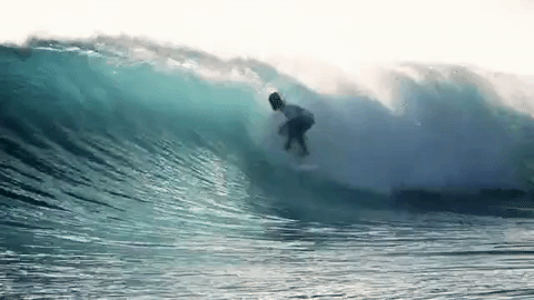 Surf surfing GIF on GIFER - by Faule