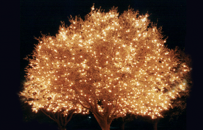 Блестки фон. Блестящие. Хрустальная туфелька золушки дисней. Светодиодный шар r40. Напомнить сверкать.