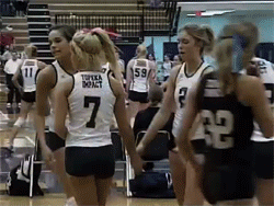 Animated Gif Volleyball Free Download Animated Gif Volleyball Free Download