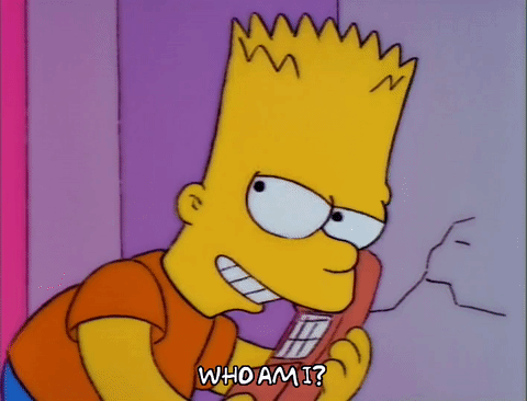 Le sosie de Bart Simpsons JHi4