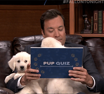 GIF jimmy fallon tonight show oitnb meme - animated GIF on GIFER