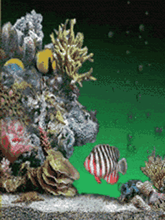 Aquarium iPhone Live Wallpaper - Download on PHONEKY iOS App