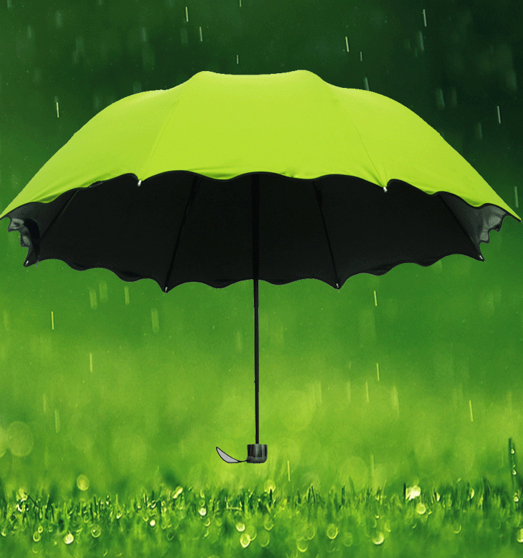 Umbrella guarda chuva GIF - Pesquisar em GIFER