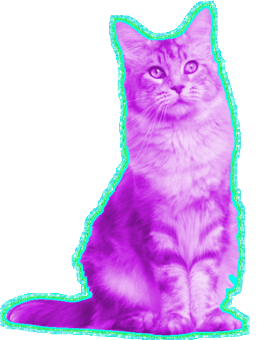 Transparent blog katze kater GIF on GIFER - by Malagore