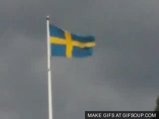 Swedish GIF - Find on GIFER