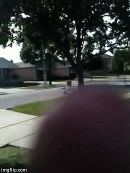 Bike ramp wasted GIF - Find on GIFER