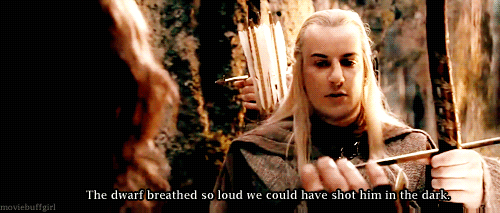 Fellowship of the ring GIF - Find on GIFER