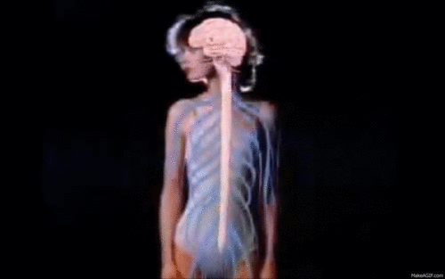 Нервная система человека gif. Мозг и нервная система. Тело человека крутится. Живое тело. Живые тела представляют собой