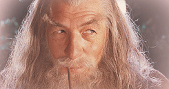 Gandalf GIF - Find on GIFER