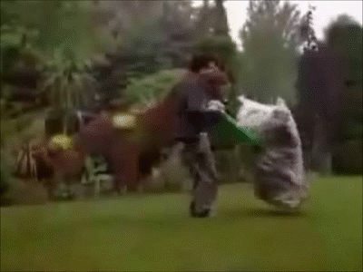 JYav.gif