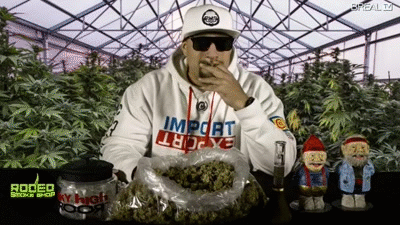 Only Hate The Road When Youre Missing Home