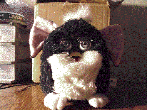 Gif toy. Furby 1999. Робот Фёрби гиф. Смешные игрушки гифки. Пучеглазая игрушка гиф.