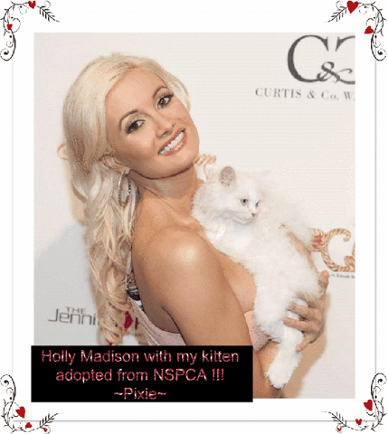 Animated GIF holly madison, free download. 