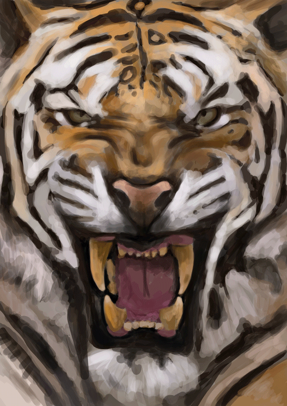Тигр оскал. Тигр рычит. Злой тигр. Тигрица в ярости.