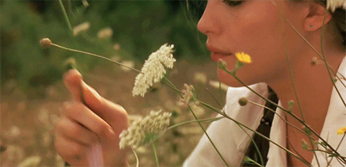 Песня приколола цветок полевой. Девушка в цветах гиф. Девушка в поле с цветами гиф. Девушка с цветами гифка. Цветы девушке гиф.