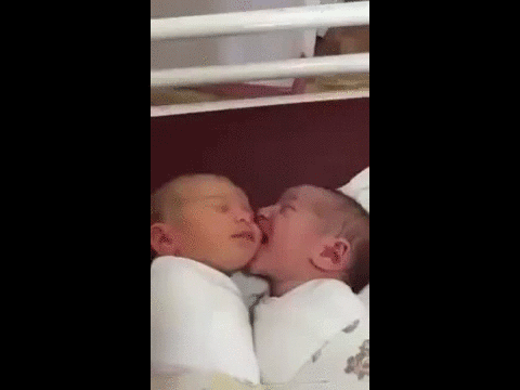 Bebe Baby Enfant Gif Find On Gifer