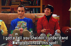 The big bang theory big bang theory tbbt GIF - Find on GIFER