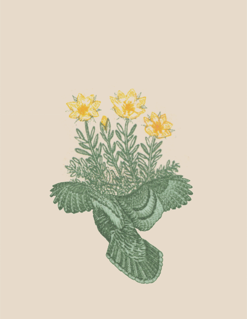 Collage flowers bloom GIF on GIFER by Hulune