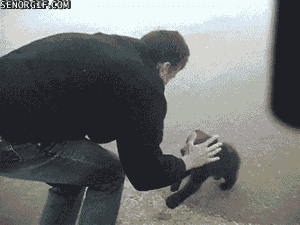 KCU.gif