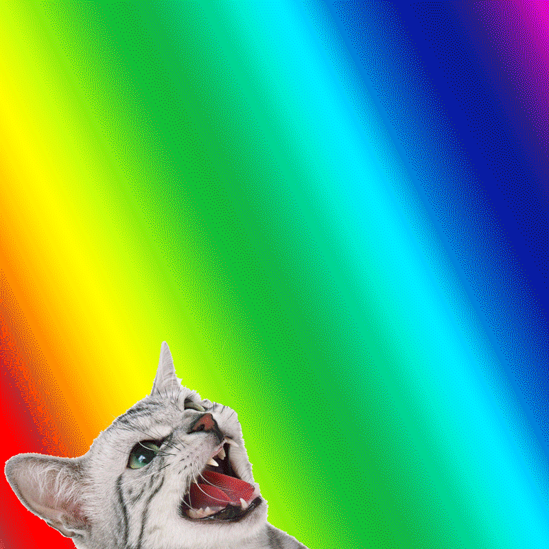 KCuh.gif