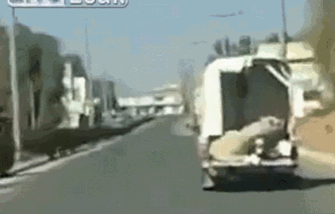 привет видео скачать О привет, о привет, ты конченый coub gifs with sound.