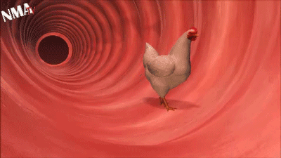 Фото Открытки Гиф Анимации Куриные Яйца
