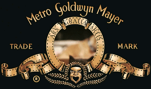 GIF metro goldwyn mayer cat black cat - animated GIF on GIFER