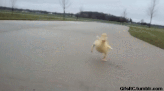 KHk.gif