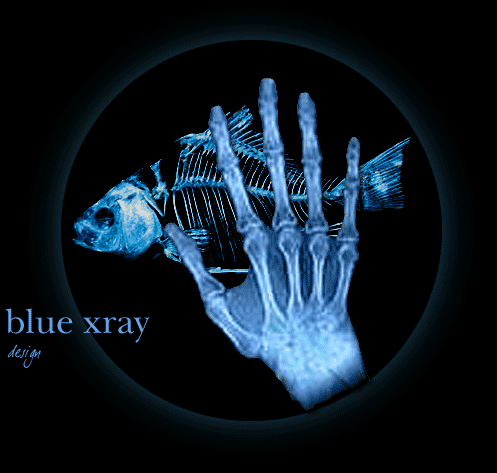 X ray GIF - Find on GIFER