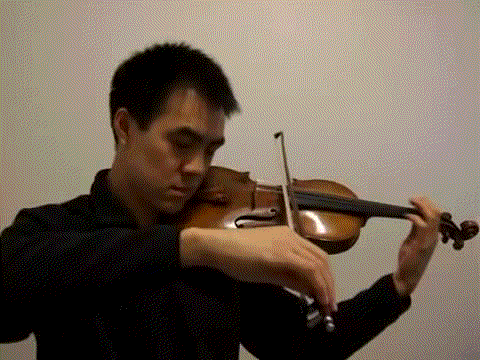 Sad Violin GIFs