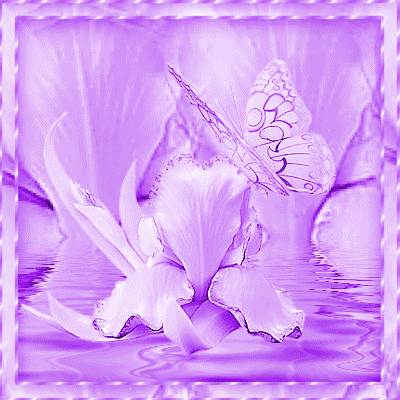 Hugo Gif Encontrar En Gifer