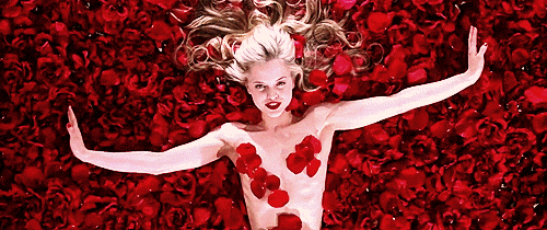 American beauty GIFs - Get the best gif on GIFER
