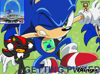 Смешные видео про соника. Sonic gif. Смешные видео про соника. Смешной соник. Комиксы про шедоу и тйлза.