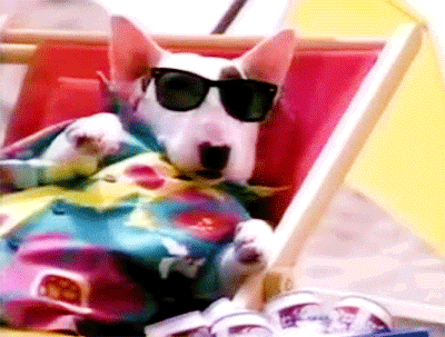 80s commercials animals GIF - Find on GIFER